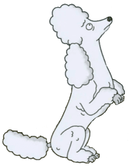 Snoodle
